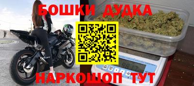 шишки Изобильный