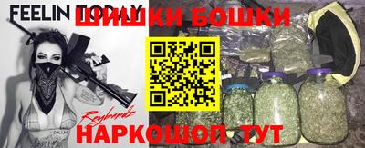 шишки Изобильный