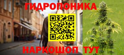 мдпв Ирбит