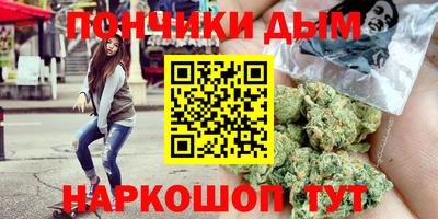 шишки Изобильный