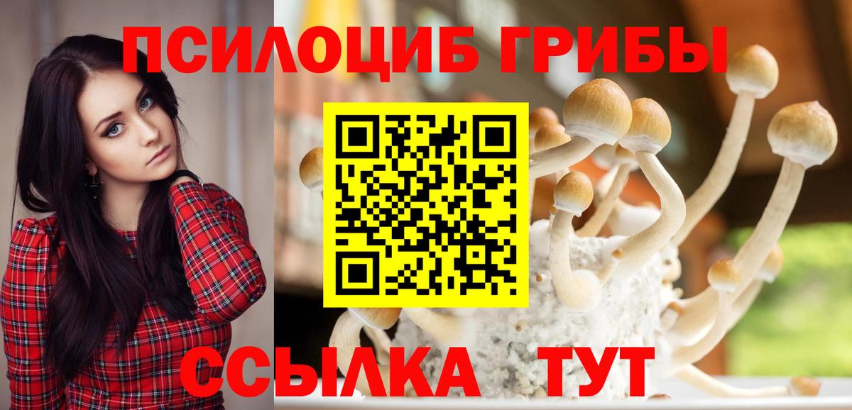 ГЕРОИН Лениногорск