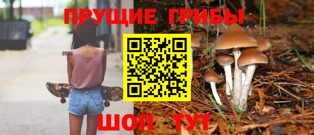 Лениногорск  закладка  Вход с VPN  Галлюциногенные грибы мухоморы  Псилоцибиновые грибы мицелий 